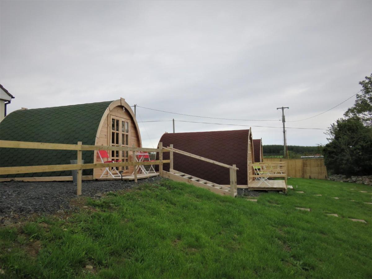 Shannon Estuary Glamping Effernan Esterno foto
