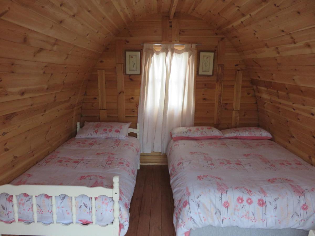 Shannon Estuary Glamping Effernan Esterno foto