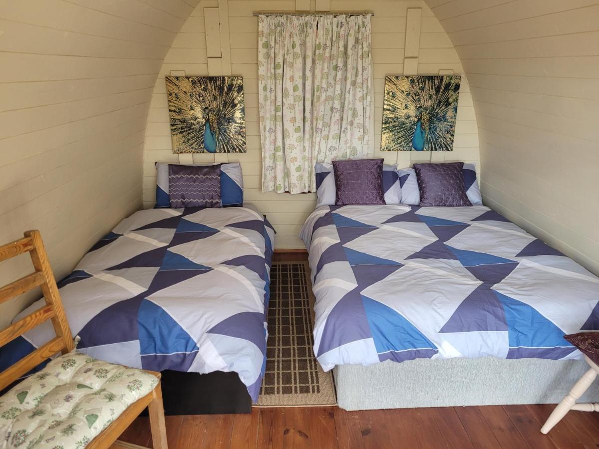 Shannon Estuary Glamping Effernan Esterno foto