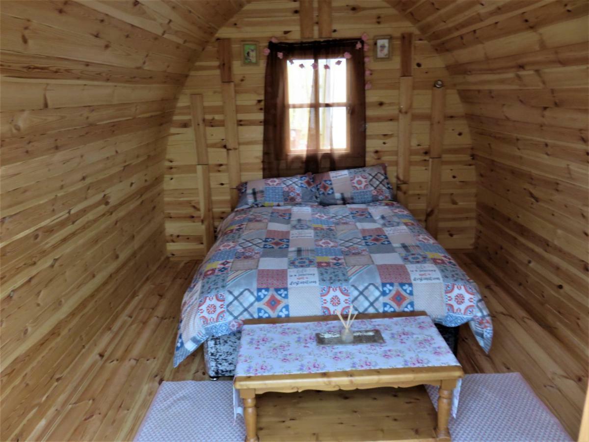 Shannon Estuary Glamping Effernan Esterno foto