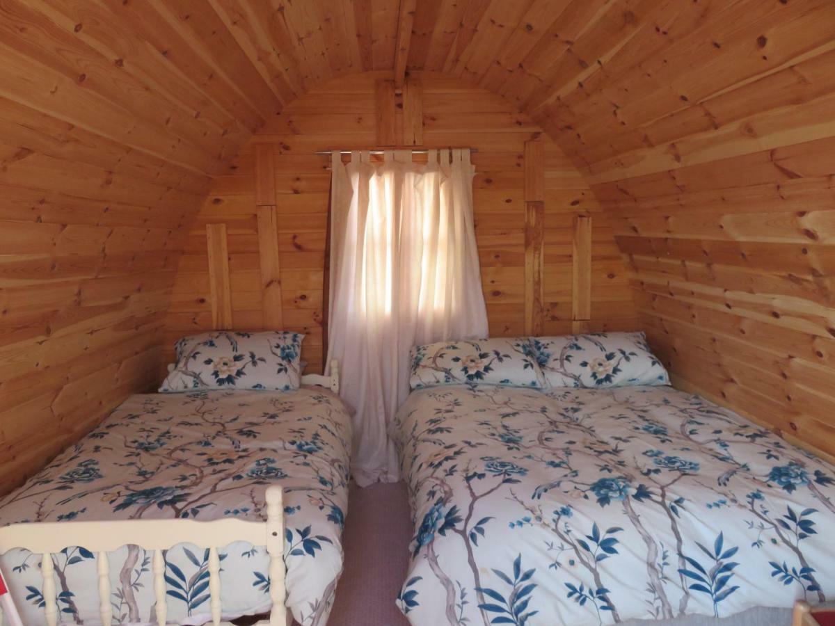 Shannon Estuary Glamping Effernan Esterno foto