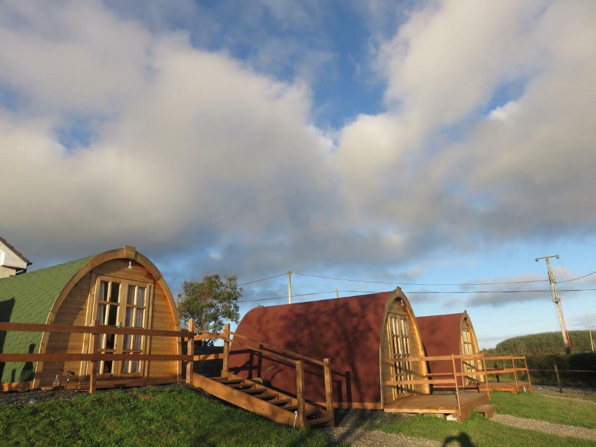 Shannon Estuary Glamping Effernan Esterno foto