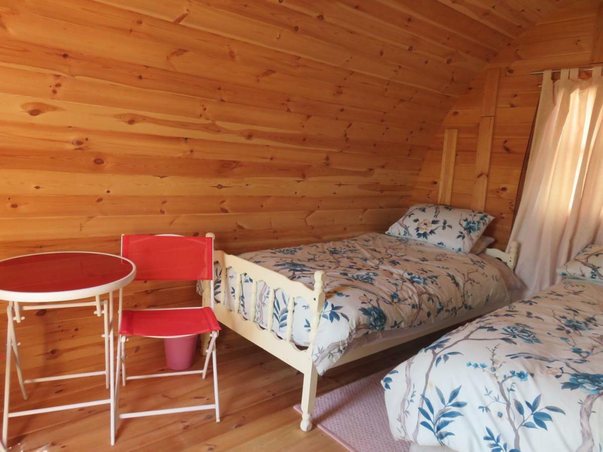 Shannon Estuary Glamping Effernan Esterno foto