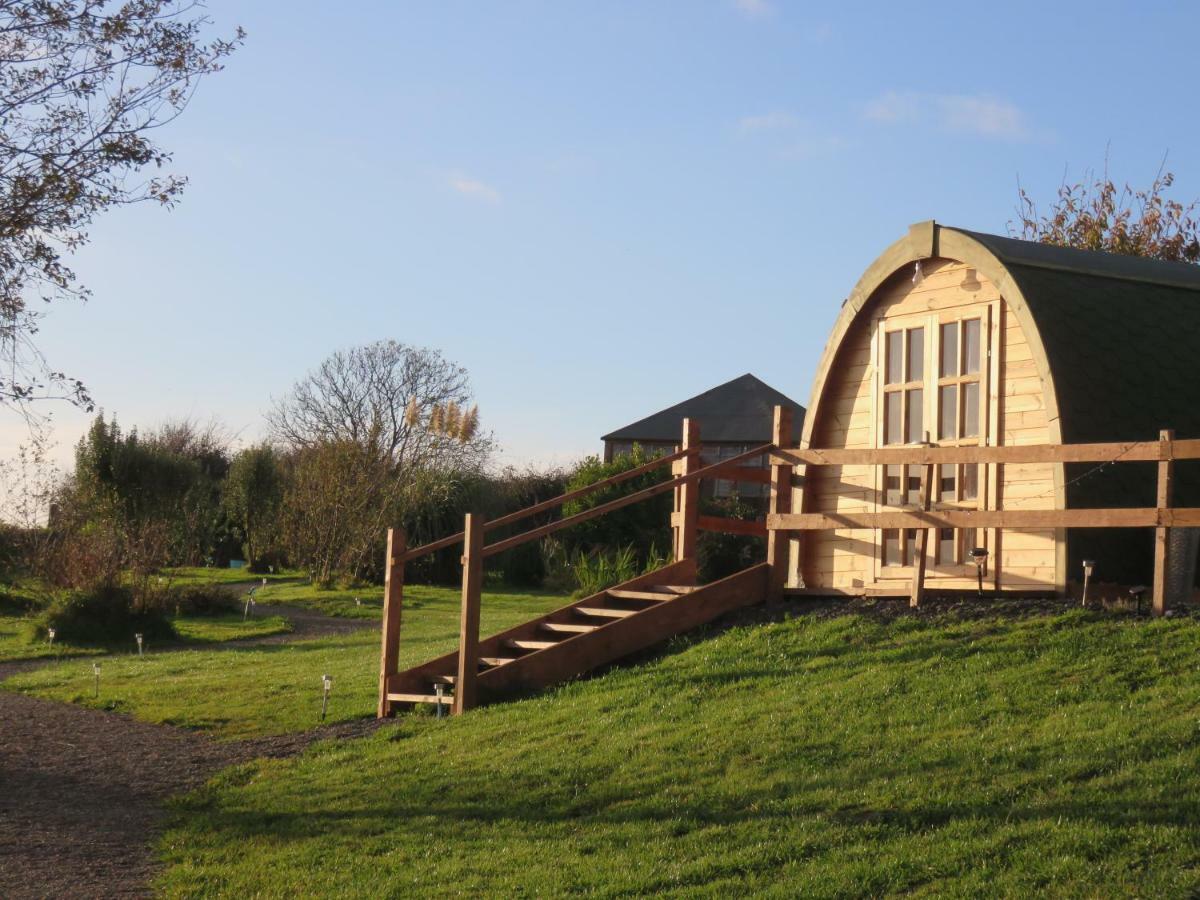 Shannon Estuary Glamping Effernan Esterno foto